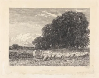 Changing Pasture